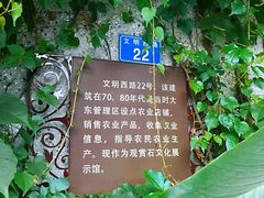 -伦教678文化街