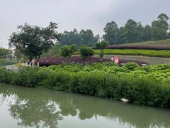 -天府芙蓉园