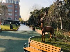 -上海市民办金苹果学校