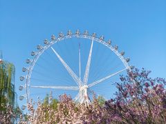 -石家庄市植物园