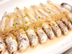 -骏莱海鲜鱼港(五角场店)