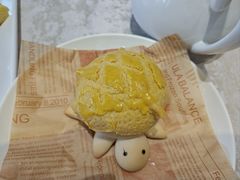 -广东惠东海龟国家级自然保护区