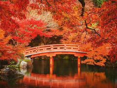 -醍醐寺