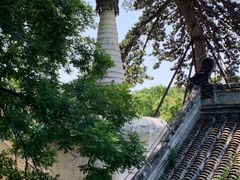 -潭柘寺景区
