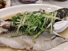 姜葱蒸水库瘦身鲩鱼-粤·向群饭店(龙津东路总店)