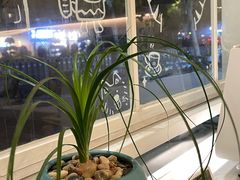 -绿小院(荔湾店)