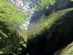 -大围山国家森林公园