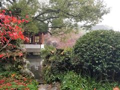 -郭庄茶室