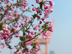 -龙美术馆(西岸馆)