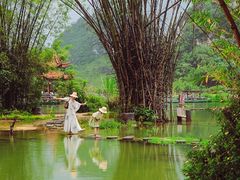 -靖西鹅泉风景区