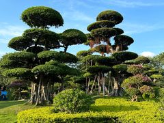 -南宁南湖公园