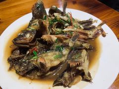 东极海钓虎头鱼-阿军排档·烧烤