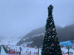 -太子岭滑雪场
