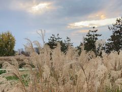 -汉长安城未央宫国家考古遗址公园