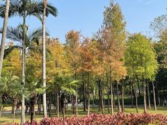 -晓港公园