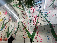 -绿壁虎攀岩基地(Tcar店)