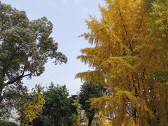 -四川大学(华西校区)