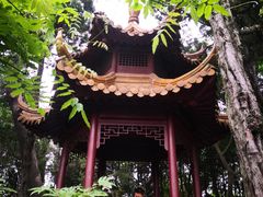 -嘉定紫藤园