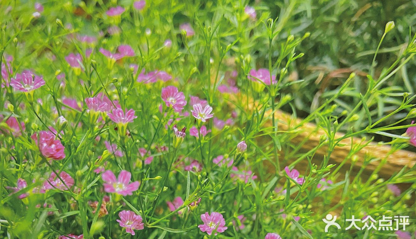 🧚🏻‍♀️长沙周末拍照打卡推荐