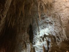 -怀托摩萤火虫洞