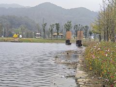 -千年银杏谷文化旅游区