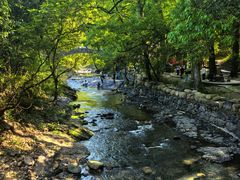 -石台牯牛降景区