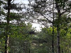 -京东石林峡风景区