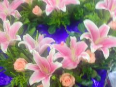 -爱尚花坊(大林路店)