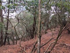 -徽州美食(三十年老店)