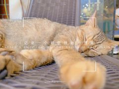 -鱼乐岛餐厅·户外花园主题餐厅