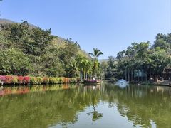 -西双版纳原始森林公园