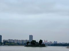 -金沙湖公园
