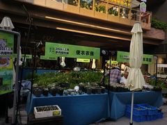 -瑞虹新天地月亮湾