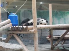 -西安秦岭野生动物园