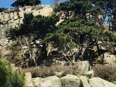 -泰山风景名胜区