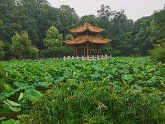 -富乐山
