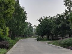 -府河摄影公园