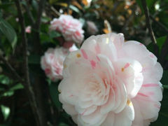 android_upload_pic-航天无锡（738）疗养院