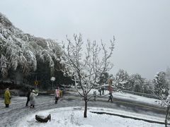 -湖州龙王山景区