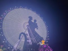 -松鼠王国