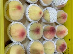 -老袁家蜜桃农场·阳山水蜜桃