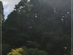 -庐山风景区花径公园