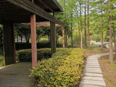 -宝界山林公园