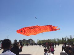 -丁香湖公园