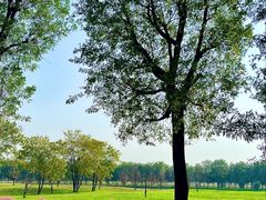 -汉长安城未央宫国家考古遗址公园