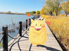 -野鸭湖国家湿地公园