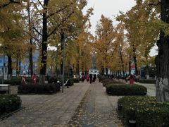 -百林公园-两江幸福广场