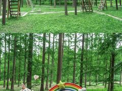 -黄海国家森林公园