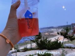 -海岛日记(养马岛店)