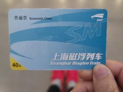 -龙阳路磁悬浮列车总站-停车场